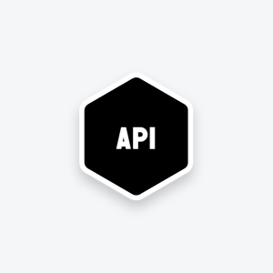 api logo